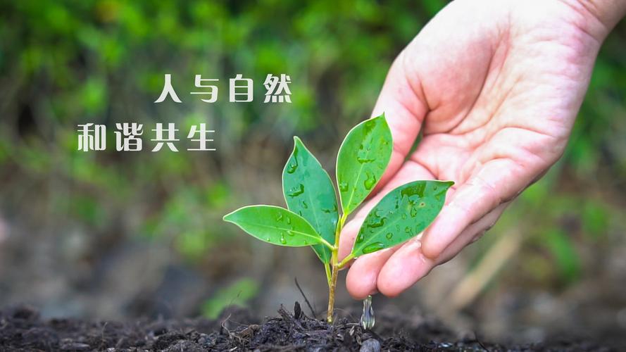 bte·365(中国)唯一官方网站